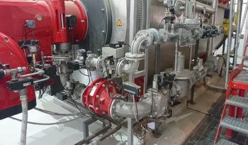 multi-fuel burners biogas use DWS