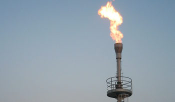 elevated flare DWS Biogas